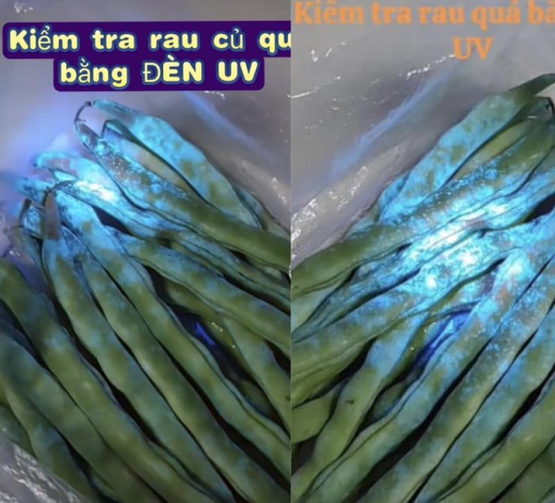 Sự thật về đèn UV phát hiện thuốc trừ sâu: Chiêu trò bán hàng hay công nghệ thật? - Ảnh 1. Sự thật về đèn UV phát hiện thuốc trừ sâu: Chiêu trò bán hàng hay công nghệ thật? - Ảnh 1.