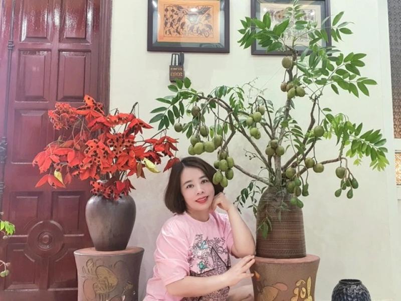 Cô giáo Phú Thọ gây sốt với thú chơi cắm cành trái cây độc đáo , đặc biệt là dừa - Ảnh 12. Cô giáo Phú Thọ gây sốt với thú chơi cắm cành trái cây độc đáo , đặc biệt là dừa - Ảnh 12.