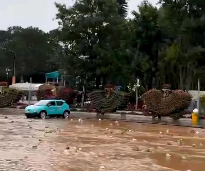Đà Lạt mưa lớn như trút nước, nhiều tuyến đường ngập nặng- Ảnh 7. Đà Lạt mưa lớn như trút nước, nhiều tuyến đường ngập nặng- Ảnh 7.
