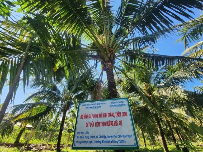 Quét mã QR cho... dừa - Ảnh 4.