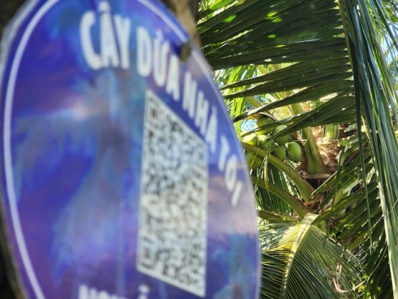 Quét mã QR cho... dừa - Ảnh 2.