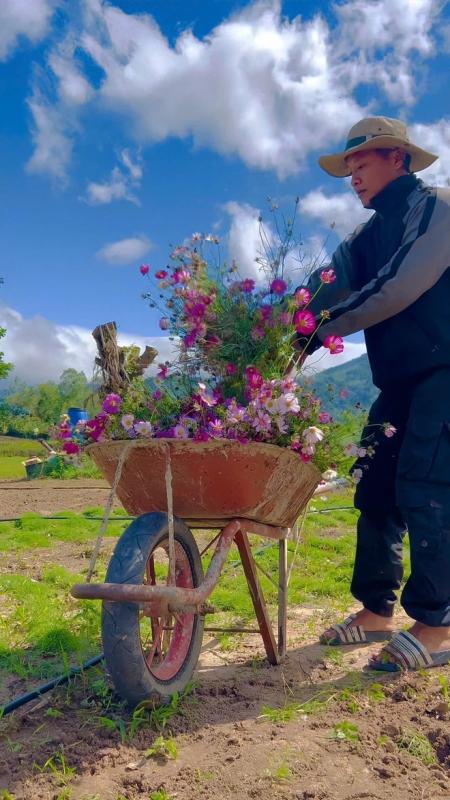 Một khu vườn thơ mộng, ngập tràn hoa lá khiến ai ghé thăm cũng phải trầm trồ- Ảnh 4. Một khu vườn thơ mộng, ngập tràn hoa lá khiến ai ghé thăm cũng phải trầm trồ- Ảnh 4.