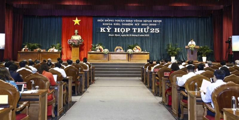 Bình Định thu ngân sách 6 tháng đầu năm đạt trên 9.284 tỉ đồng - Ảnh 1.