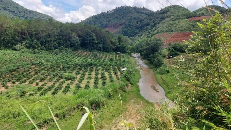 Chậm tiến độ, chủ dự án thủy điện bị phạt 85 triệu đồng- Ảnh 1. Chậm tiến độ, chủ dự án thủy điện bị phạt 85 triệu đồng- Ảnh 1.