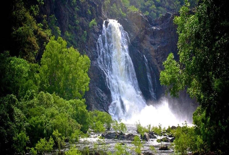 Kinh nghiệm du lịch Queensland cho du khách đến lần đầu - Ảnh 5.