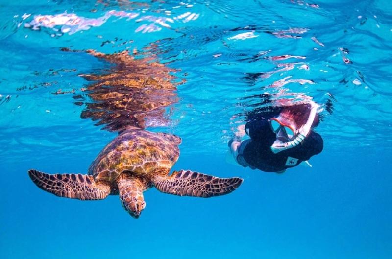 Kinh nghiệm du lịch Queensland cho du khách đến lần đầu - Ảnh 8.