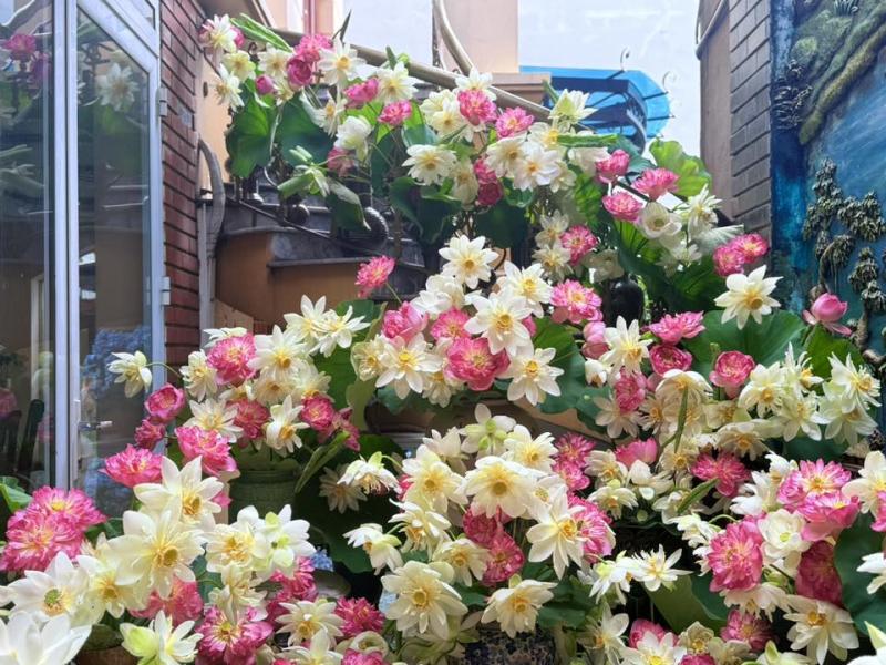 Người phụ nữ cắm hoa sen khắp cầu thang, dân mạng ngỡ là bình hoa 'khổng lồ' - Ảnh 2.