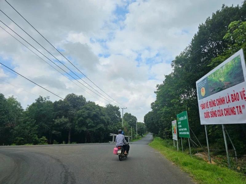 Xã Hồ Tràm - 'Thủ phủ' du lịch mới của TP.HCM - Ảnh 1.