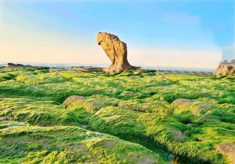 Khám phá khu sinh thái biển Bình Thạnh: Cô gái đẹp đang ngủ quên ở Lâm Đồng - Ảnh 4. Khám phá khu sinh thái biển Bình Thạnh: Cô gái đẹp đang ngủ quên ở Lâm Đồng - Ảnh 4.
