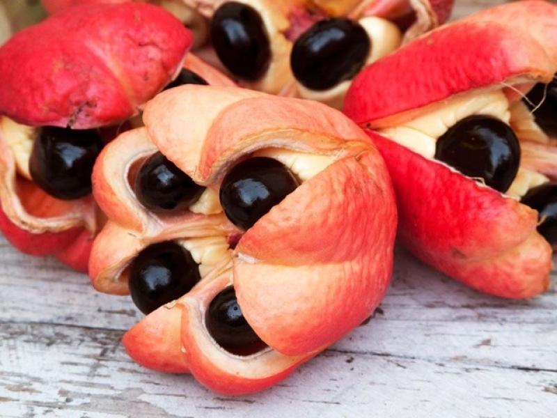 Những thực phẩm nguy hiểm nhất thế giới - Ảnh 1.