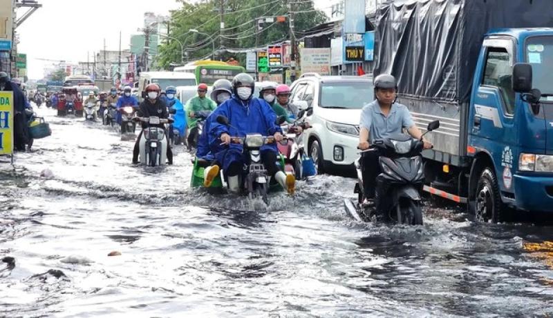 Bảo vệ ô tô khỏi ngập nước, cây ngã thế nào vào mùa mưa? - Ảnh 2. Bảo vệ ô tô khỏi ngập nước, cây ngã thế nào vào mùa mưa? - Ảnh 2.