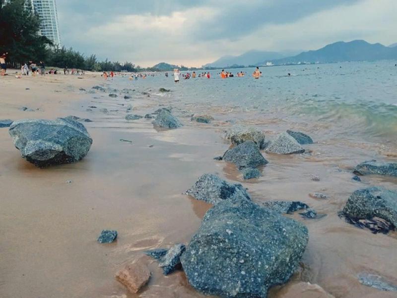 'Rừng' đá chẻ bỗng nhiên xuất hiện trên bãi biển Bình Sơn - Ninh Chữ - Ảnh 1. 'Rừng' đá chẻ bỗng nhiên xuất hiện trên bãi biển Bình Sơn - Ninh Chữ - Ảnh 1.