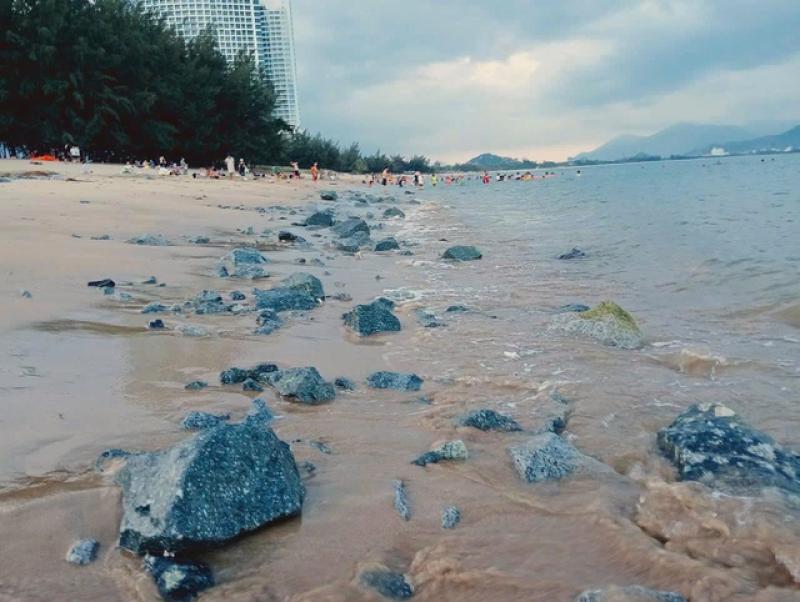 'Rừng' đá chẻ bỗng nhiên xuất hiện trên bãi biển Bình Sơn - Ninh Chữ - Ảnh 2. 'Rừng' đá chẻ bỗng nhiên xuất hiện trên bãi biển Bình Sơn - Ninh Chữ - Ảnh 2.