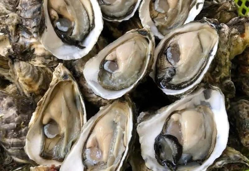 Có phải xuất tinh nhiều gây mất kẽm ở nam giới? - Ảnh 2.
