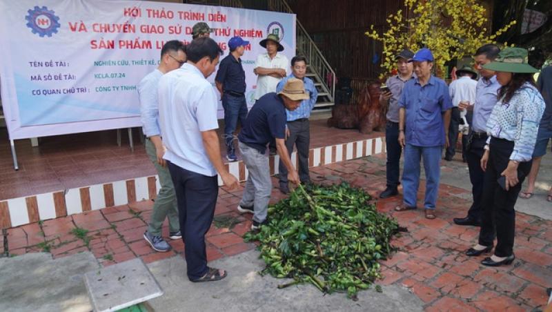 Thân phận lục bình Nam bộ: Ai cũng muốn 'xử' lục bình- Ảnh 1. Thân phận lục bình Nam bộ: Ai cũng muốn 'xử' lục bình- Ảnh 1.