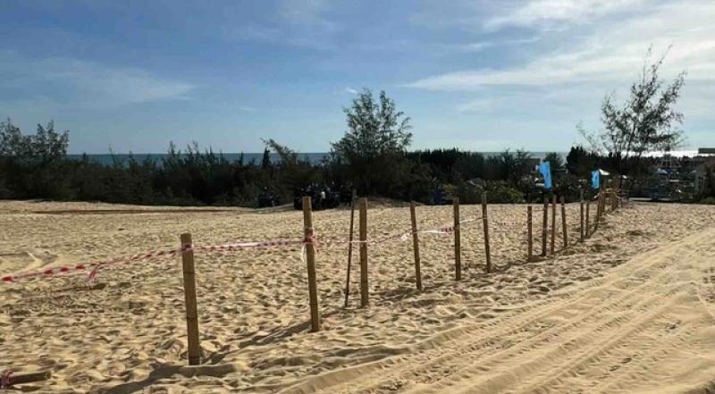 Đồi cát phục vụ du lịch ở Quang Phú bị rào bằng… cọc tre- Ảnh 1. Đồi cát phục vụ du lịch ở Quang Phú bị rào bằng… cọc tre- Ảnh 1.