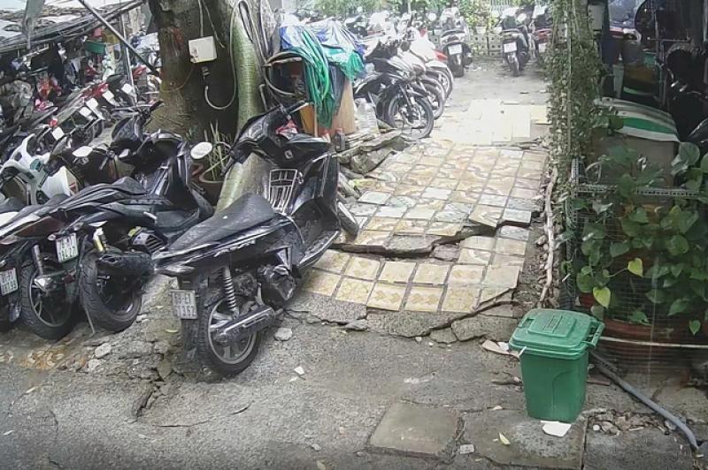 TP.HCM: Cây xanh lớn bật gốc sau mưa, người dân lo ngại nguy cơ đổ ngã - Ảnh 1.