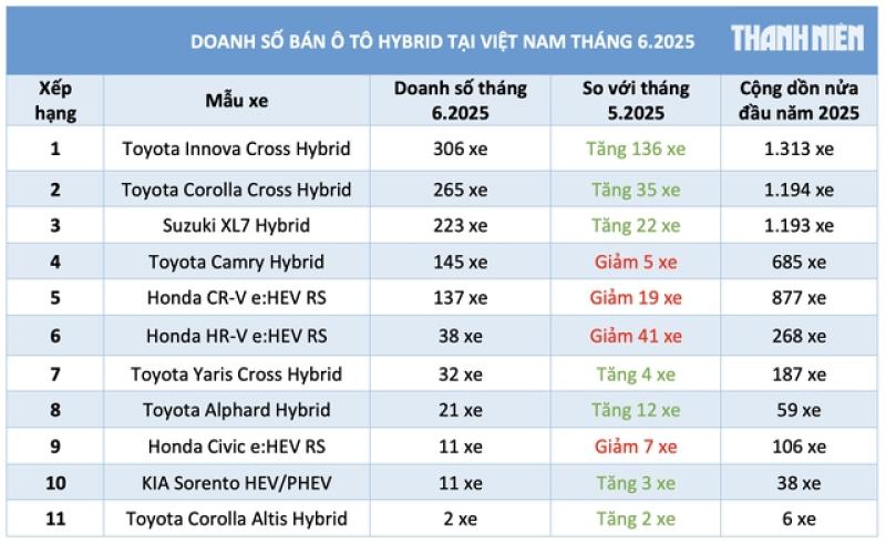 Người Việt mua sắm ngày càng nhiều ô tô hybrid, xe Toyota chiếm đa số - Ảnh 3.