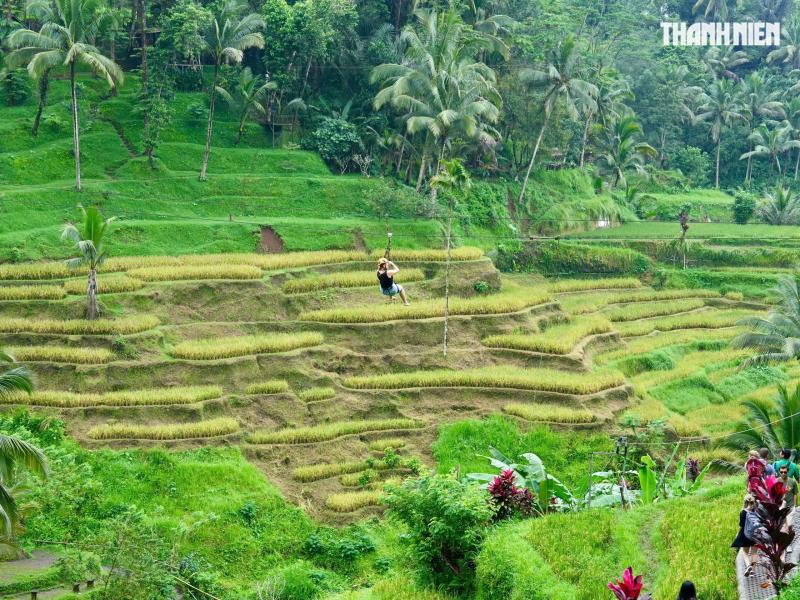 Giải mã bí ẩn trên ruộng bậc thang khiến du khách mê mẩn ở đảo Bali- Ảnh 10. Giải mã bí ẩn trên ruộng bậc thang khiến du khách mê mẩn ở đảo Bali- Ảnh 10.