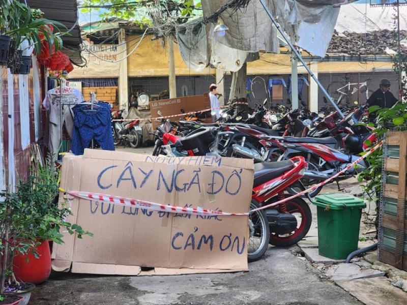 TP.HCM: Cây xanh lớn bật gốc sau mưa, người dân lo ngại nguy cơ đổ ngã - Ảnh 2.