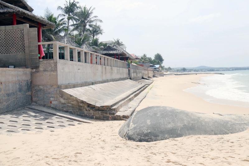 Những con 'quái vật' trên bãi biển Mũi Né- Ảnh 11. Những con 'quái vật' trên bãi biển Mũi Né- Ảnh 11.