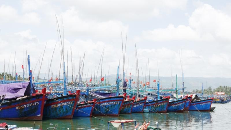 Chống khai thác IUU, Gia Lai buộc 650 tàu cá nằm bờ- Ảnh 1. Chống khai thác IUU, Gia Lai buộc 650 tàu cá nằm bờ- Ảnh 1.