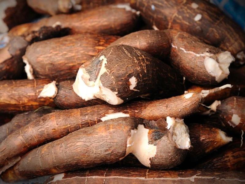 Những thực phẩm nguy hiểm nhất thế giới - Ảnh 2.