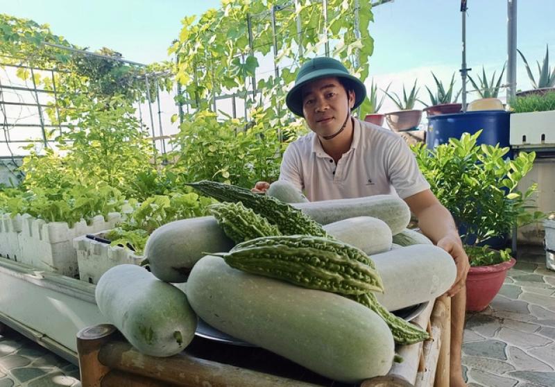 Mê trồng rau sạch từ thời còn ở trọ: Gia chủ bội thu, khỏi cần đi chợ - Ảnh 9.