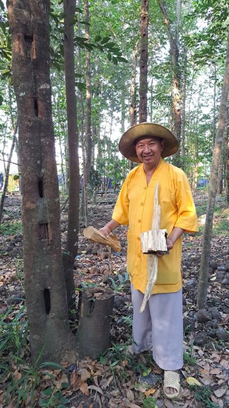 Khát vọng trầm hương của 'nhà sư Thị Kính': Rừng dó bầu nơi cửa Phật- Ảnh 3. Khát vọng trầm hương của 'nhà sư Thị Kính': Rừng dó bầu nơi cửa Phật- Ảnh 3.