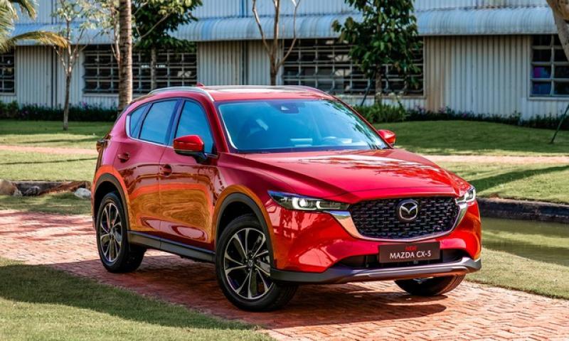 Người Việt mua xe SUV, crossover nào nhiều nhất nửa đầu năm 2025? - Ảnh 2.