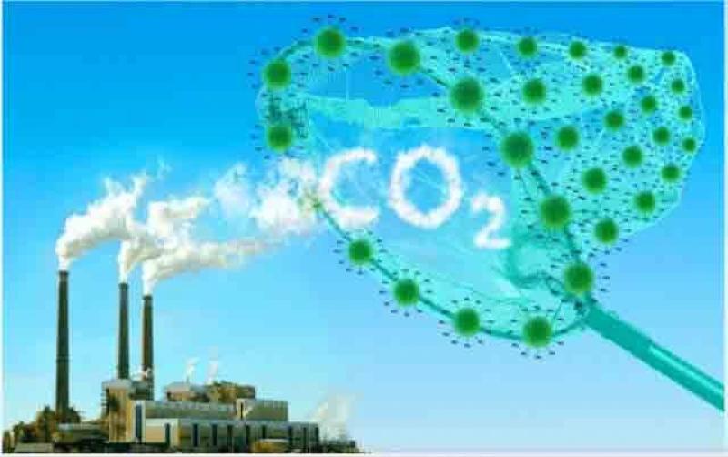 Việt Nam bước vào thị trường tỉ USD - tín chỉ carbon xe điện- Ảnh 3. Việt Nam bước vào thị trường tỉ USD - tín chỉ carbon xe điện- Ảnh 3.
