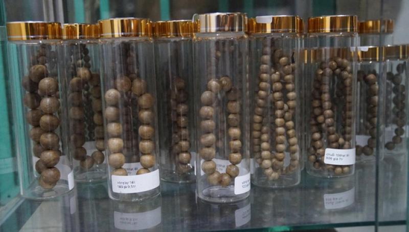 Khát vọng trầm hương của 'nhà sư Thị Kính': Rừng dó bầu nơi cửa Phật- Ảnh 9. Khát vọng trầm hương của 'nhà sư Thị Kính': Rừng dó bầu nơi cửa Phật- Ảnh 9.