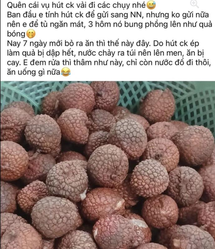 Vì sao không nên hút chân không để bảo quản vải thiều ăn dần hiệu quả hơn? - Ảnh 1. Vì sao không nên hút chân không để bảo quản vải thiều ăn dần hiệu quả hơn? - Ảnh 1.