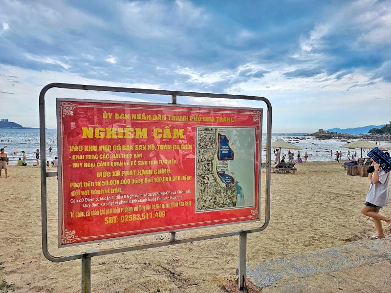 Khánh Hòa tăng cường bảo vệ rạn san hô sát bãi tắm của người dân- Ảnh 5. Khánh Hòa tăng cường bảo vệ rạn san hô sát bãi tắm của người dân- Ảnh 5.