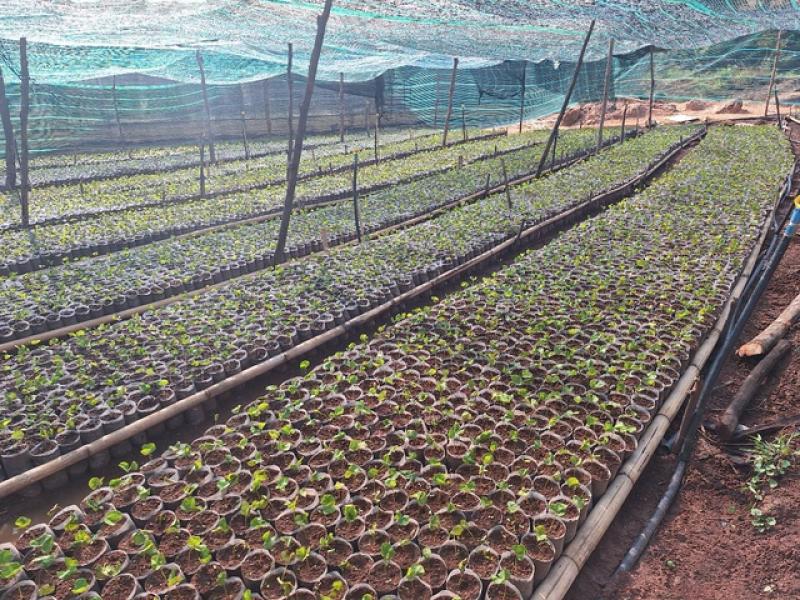 Xã miền núi từ chối nhận hoa chúc mừng đại hội - Ảnh 1.