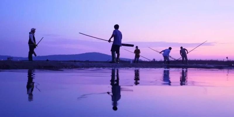 Nét mới của truyền hình thực tế - Ảnh 1.
