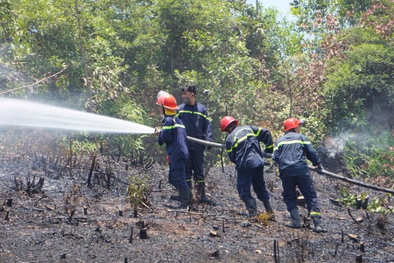 Cháy ở Nghĩa trang TP.Đà Nẵng: Lính cứu hỏa đội nắng gắt dập lửa - Ảnh 1. Cháy ở Nghĩa trang TP.Đà Nẵng: Lính cứu hỏa đội nắng gắt dập lửa - Ảnh 1.