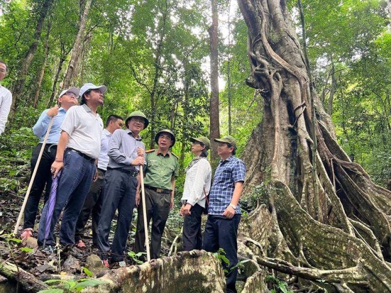 Khám phá Vườn Quốc gia Kon Ka Kinh - viên ngọc xanh giữa đại ngàn Tây nguyên - Ảnh 4. Khám phá Vườn Quốc gia Kon Ka Kinh - viên ngọc xanh giữa đại ngàn Tây nguyên - Ảnh 4.
