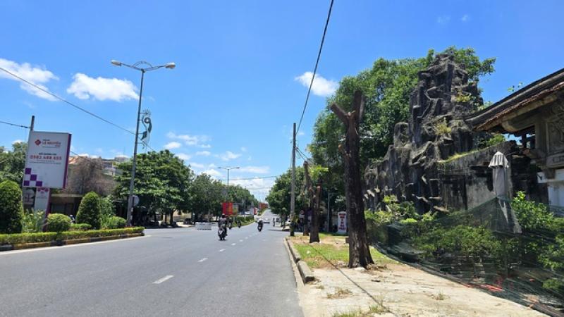 Quảng Trị: Rà soát giữ lại cây xanh, không chặt hạ tất cả khi cải tạo đường- Ảnh 1. Quảng Trị: Rà soát giữ lại cây xanh, không chặt hạ tất cả khi cải tạo đường- Ảnh 1.