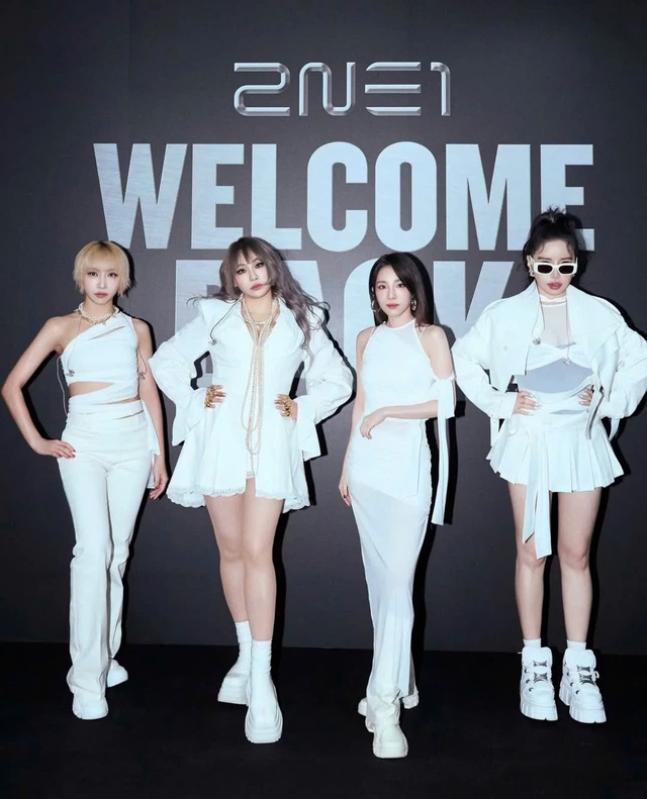 Park Bom tạm dừng mọi hoạt động cùng 2NE1 - Ảnh 1.