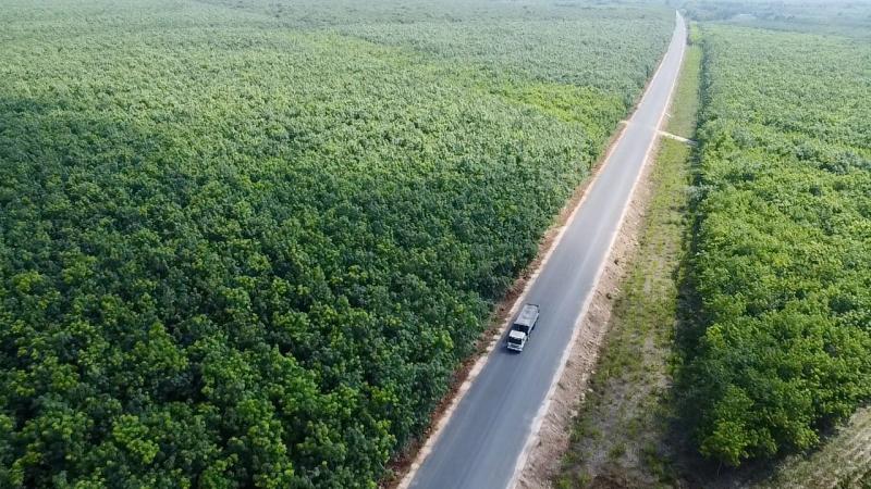 Xã duy nhất ở TP.HCM mang tên anh hùng liệt sĩ Trừ Văn Thố - Ảnh 4. Xã duy nhất ở TP.HCM mang tên anh hùng liệt sĩ Trừ Văn Thố - Ảnh 4.