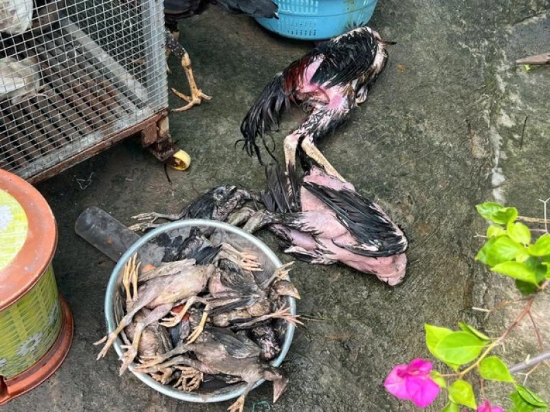 Ngập nhiều dãy trọ ở TP.HCM: 'Nước ào ào như lũ, tháo chạy trong đêm'- Ảnh 4. Ngập nhiều dãy trọ ở TP.HCM: 'Nước ào ào như lũ, tháo chạy trong đêm'- Ảnh 4.