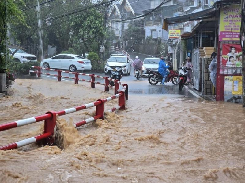 Sạt lở taluy tại P . Xuân Trường - Đà Lạt khiến 1 người chết , 1 người mất tích - Ảnh 2. Sạt lở taluy tại P . Xuân Trường - Đà Lạt khiến 1 người chết , 1 người mất tích - Ảnh 2.